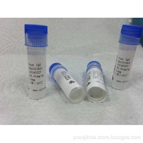 High Sensitivity Custom Monoclonal Antibody Mouse Hemoglobi